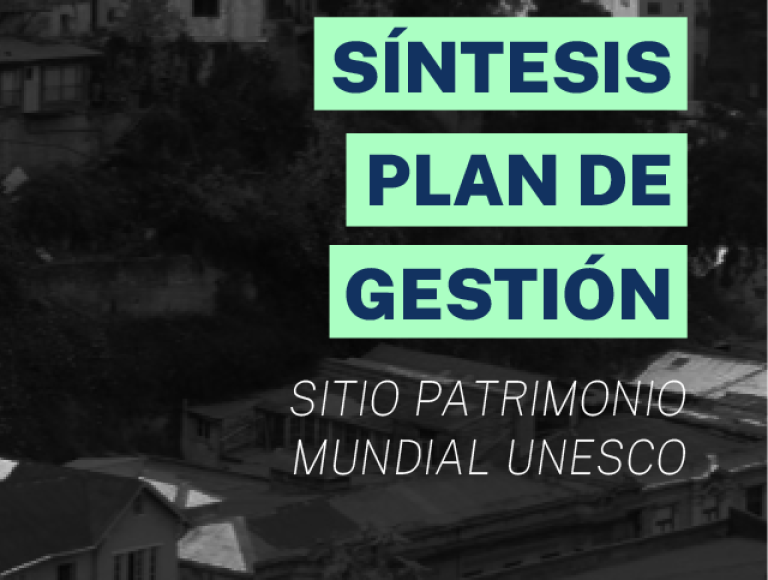 Síntesis Plan de Gestión